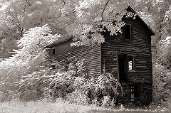 Abandoned House Near Raymondskill Falls, PA © Dave Hickey